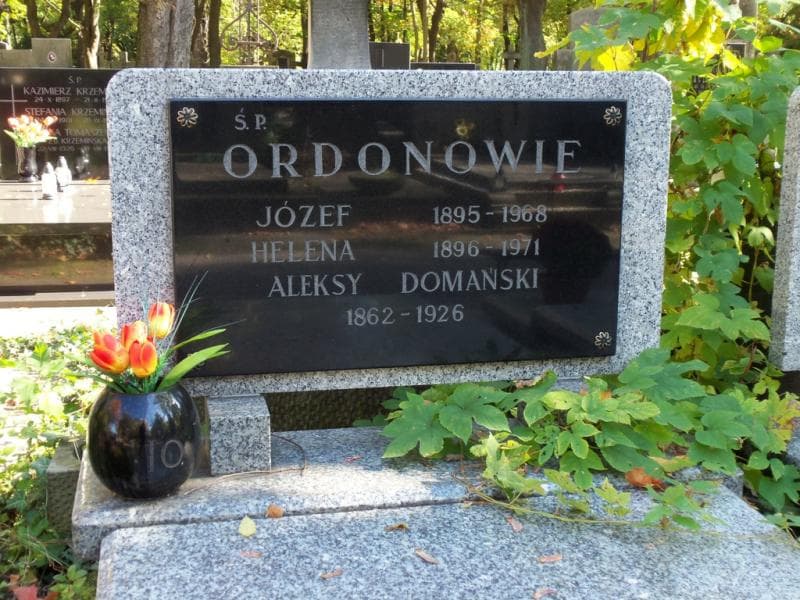 Zdjęcie grobu Aleksy Domański (2)