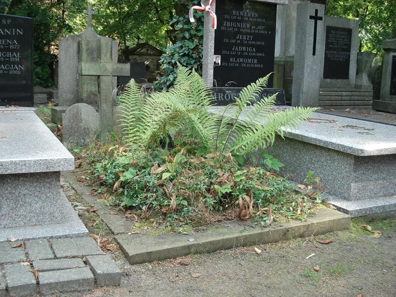 Zdjęcie grobu Stanisława Alpińska (1)
