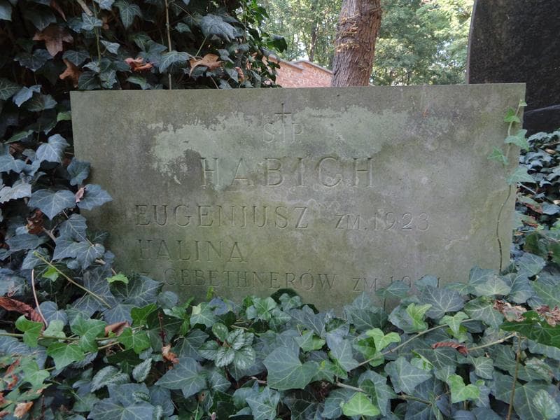 Zdjęcie grobu Halina Habich (2)