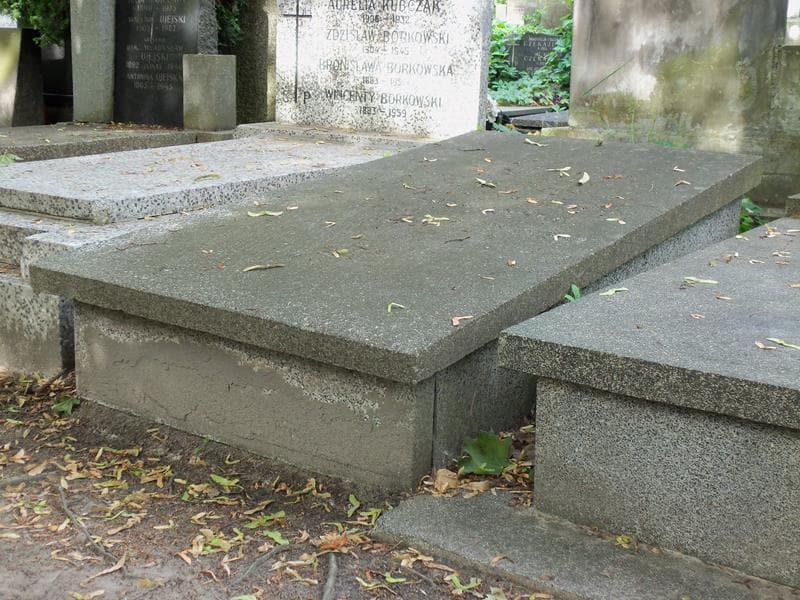 Zdjęcie grobu Bernard Dynarzewski (2)