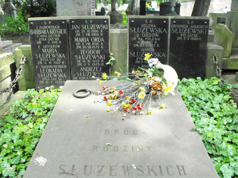 Zdjęcie grobu Teodor Służewski (2)