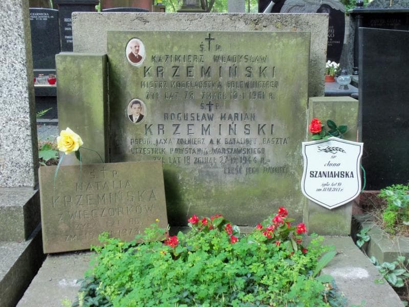 Zdjęcie grobu Natalia Krzemińska (2)