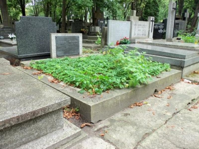 Zdjęcie grobu Henryk Słomczyński (1)
