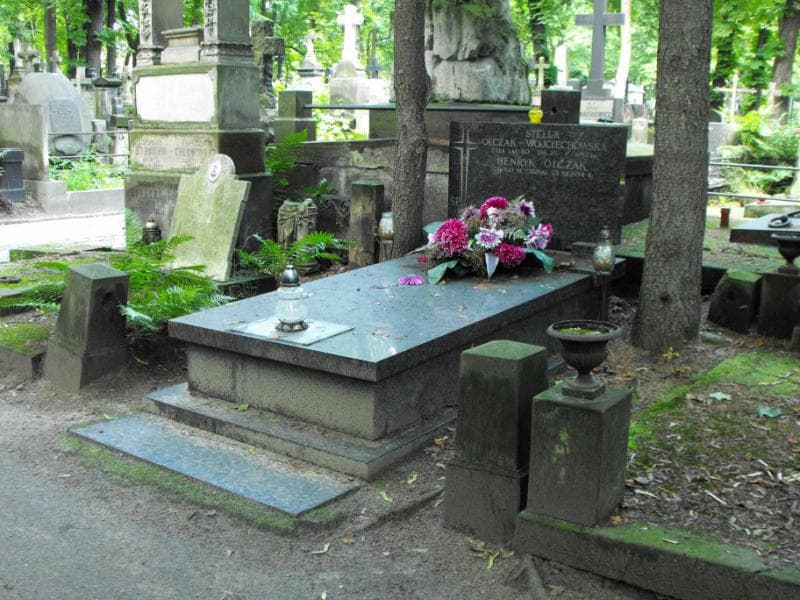 Zdjęcie grobu Henryk Olczak (1)