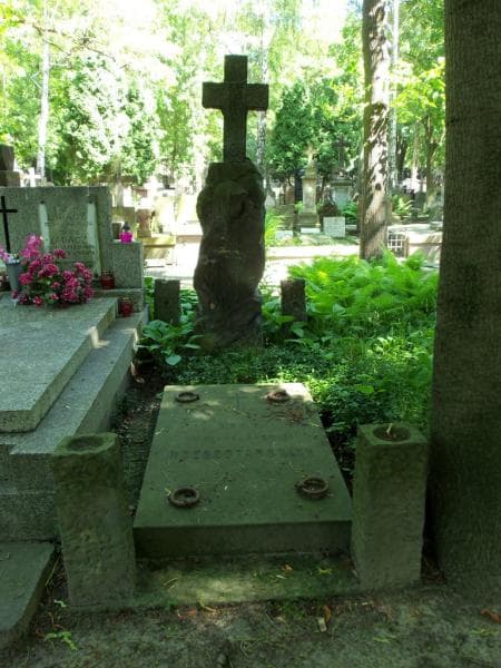 Zdjęcie grobu: Róża Rzeszotarska