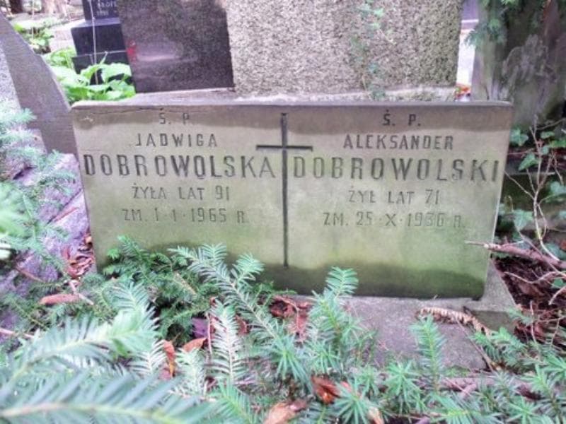 Zdjęcie grobu Aleksander Dobrowolski (2)