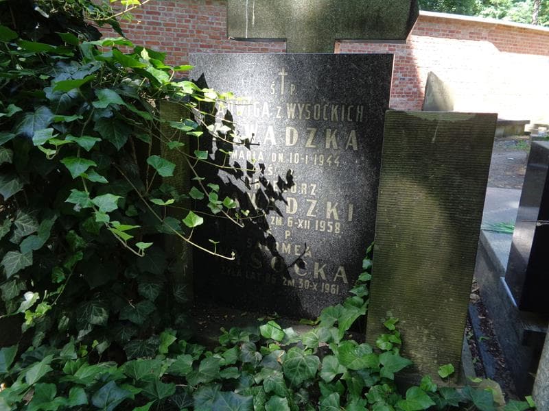 Zdjęcie grobu Salomea Wysocka (2)