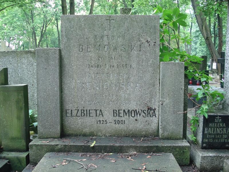 Zdjęcie grobu Aleksandra Bemowska (1)
