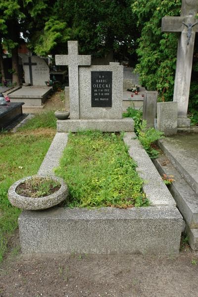 Zdjęcie grobu Karol Olecki (1)