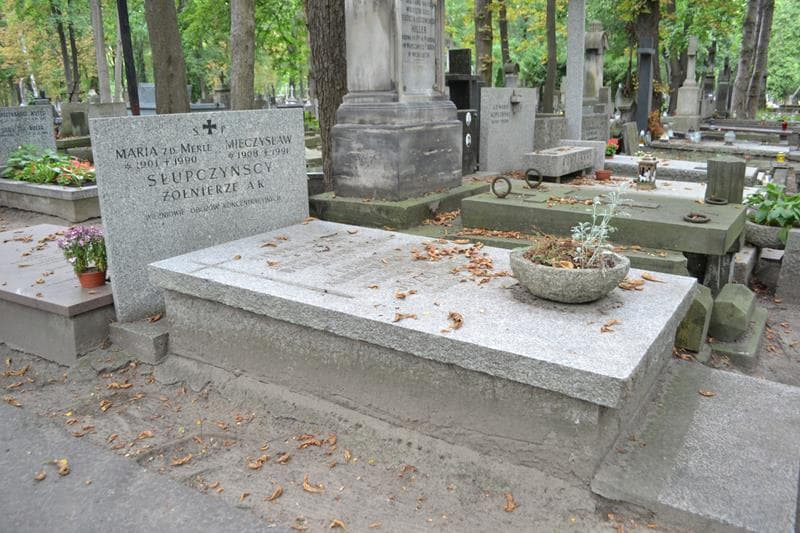 Zdjęcie grobu: Mieczysław Słupczyński