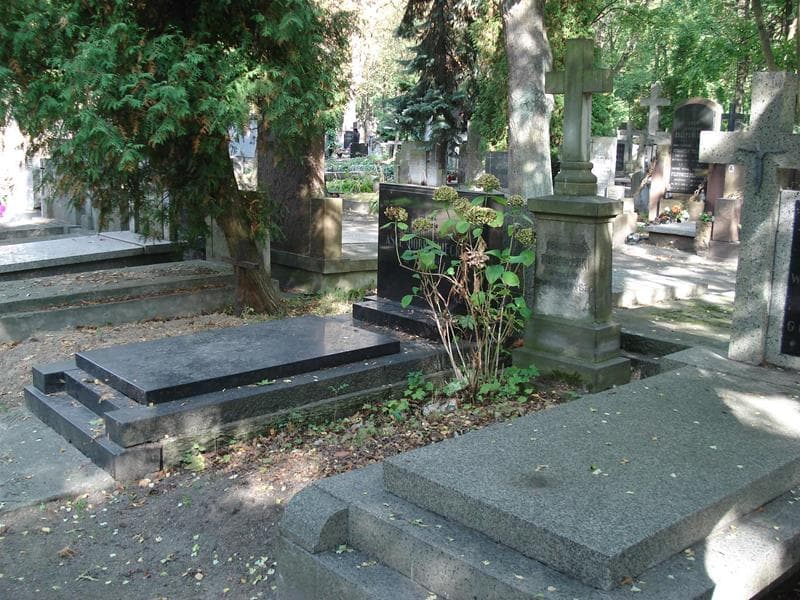Zdjęcie grobu: Franciszek Turkowski