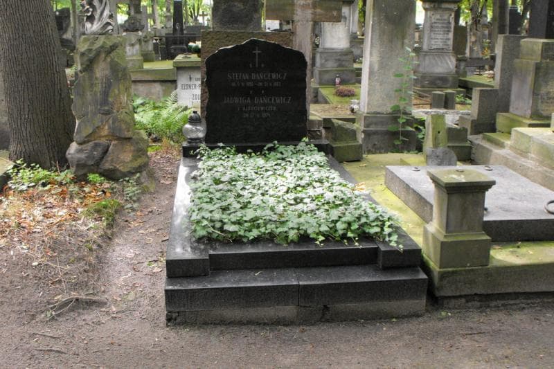 Zdjęcie grobu Stefan Dańcewicz (1)