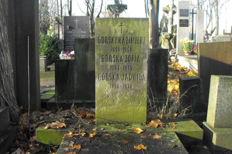 Zdjęcie grobu Kazimierz Górski (2)