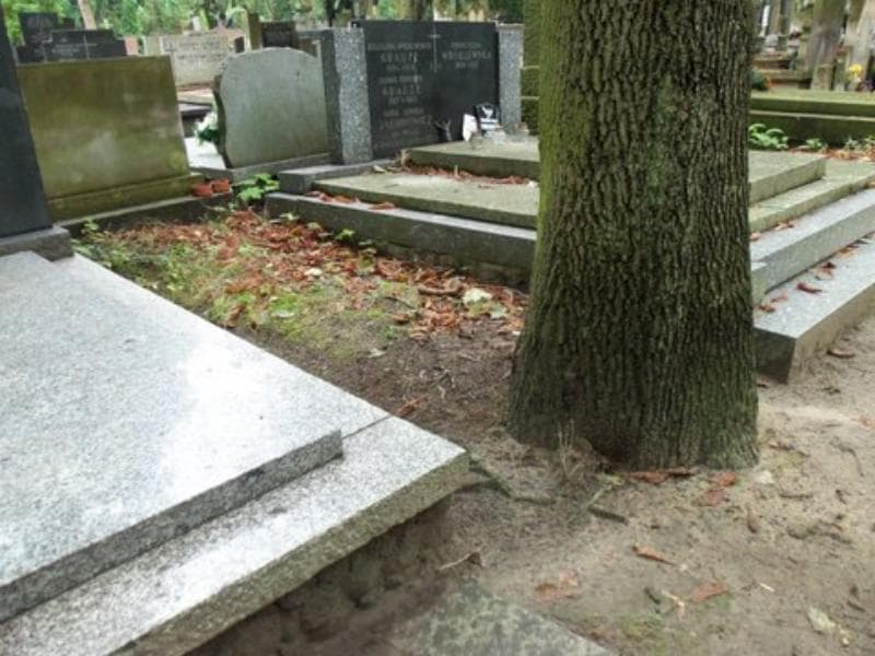 Zdjęcie grobu Pole Grobowe (1)
