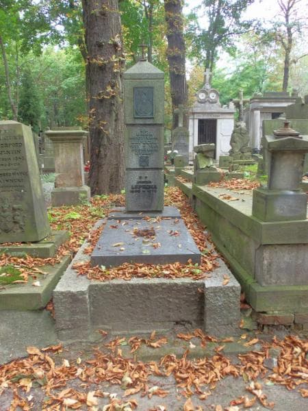 Zdjęcie grobu: Mieczysław Lepecki
