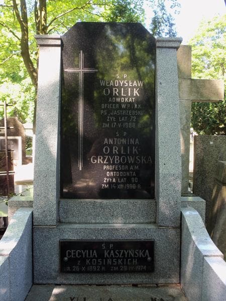 Zdjęcie grobu Władysław Orlik (2)