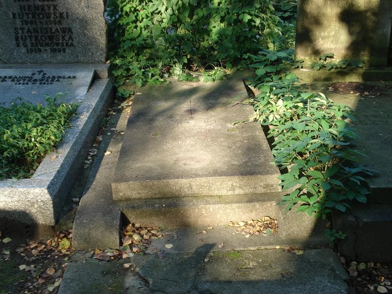 Zdjęcie grobu: Zygmunt Guizot