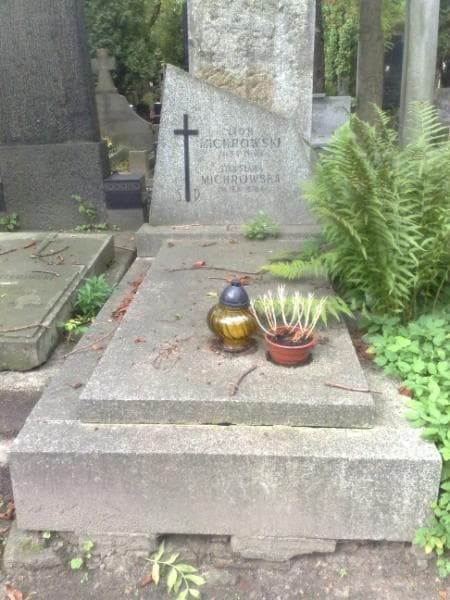 Zdjęcie grobu: Leon Michrowski