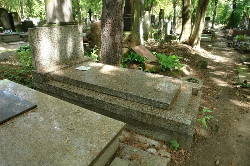 Zdjęcie grobu: Tadeusz Laskowski