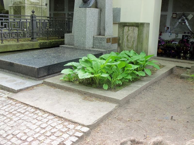 Zdjęcie grobu Anonim (1)