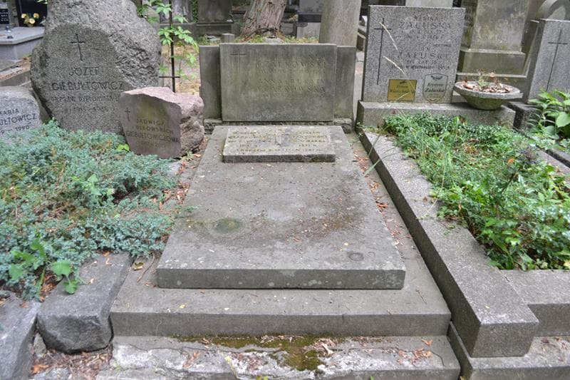 Zdjęcie grobu Anna Czarkowska (1)