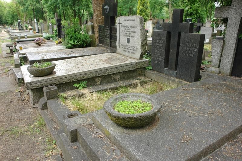 Zdjęcie grobu: Zofia Bednarek