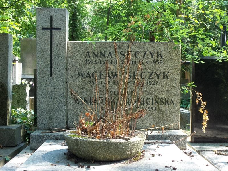 Zdjęcie grobu Anna Sęczyk (2)