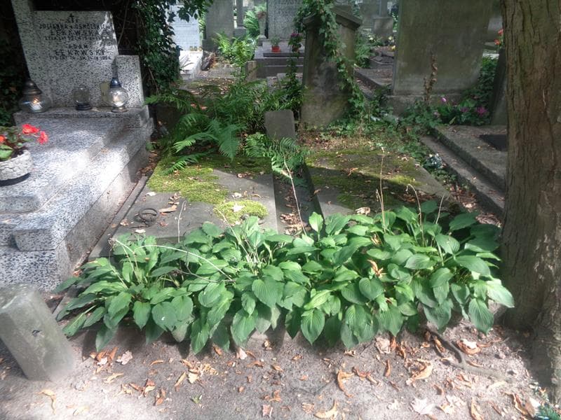 Zdjęcie grobu Maria Antonia Pastecka (1)