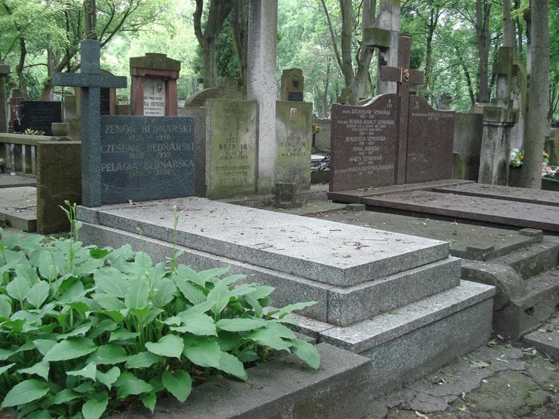 Zdjęcie grobu Czesław Bednarski (1)