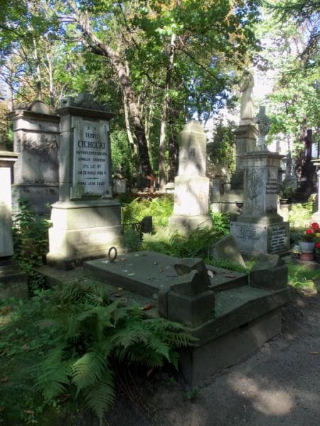 Zdjęcie grobu Teofil Cichocki (1)