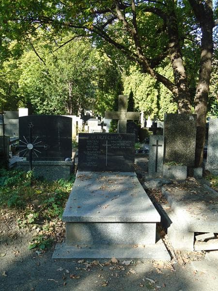 Zdjęcie grobu: Henryk Gontarski