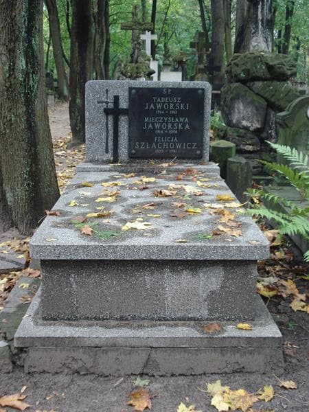 Zdjęcie grobu: Mieczysława Jaworska
