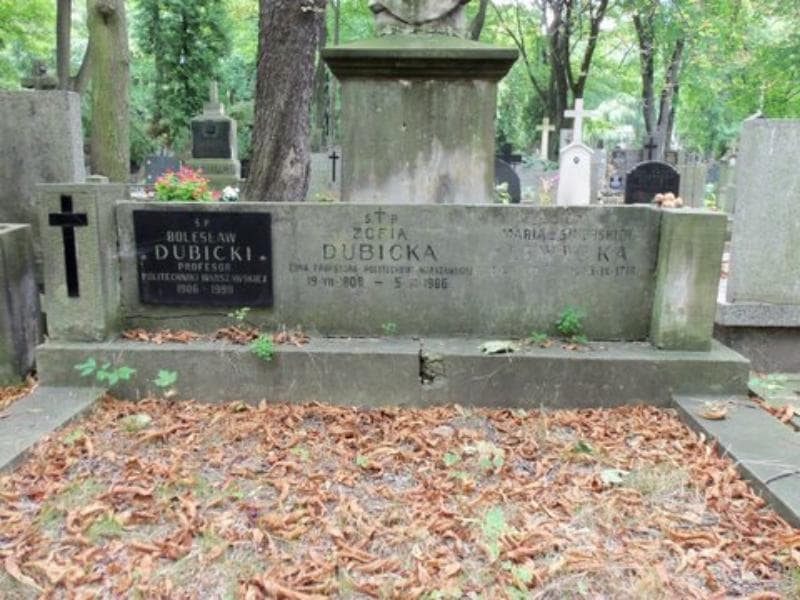 Zdjęcie grobu Bolesław Dubicki (2)