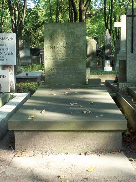 Zdjęcie grobu: Irmina Nieznańska
