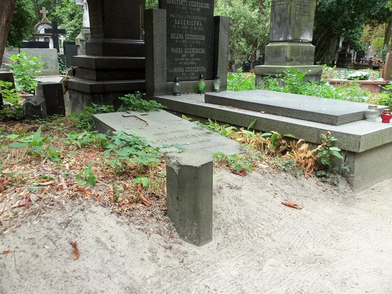 Zdjęcie grobu Marja Schwartzbach (1)