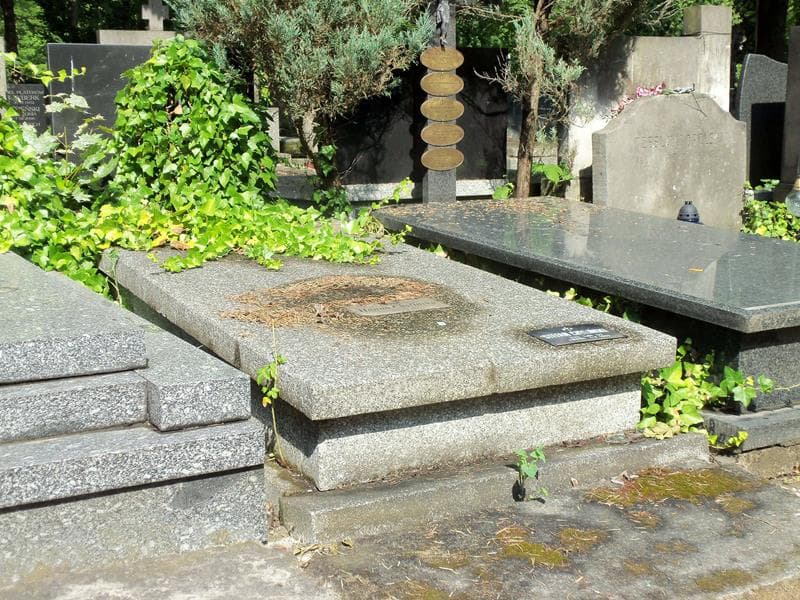 Zdjęcie grobu Hanna Chylińska (1)