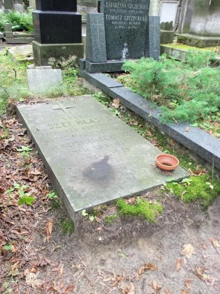 Zdjęcie grobu Romana Hłasko (1)