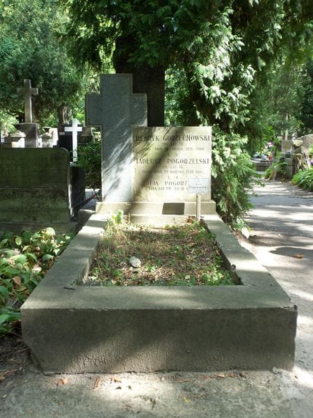 Zdjęcie grobu: Henryk Gorzechowski