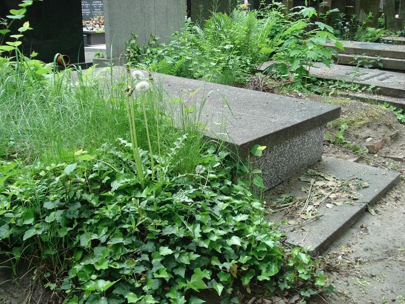 Zdjęcie grobu Irena Urbanowicz (2)