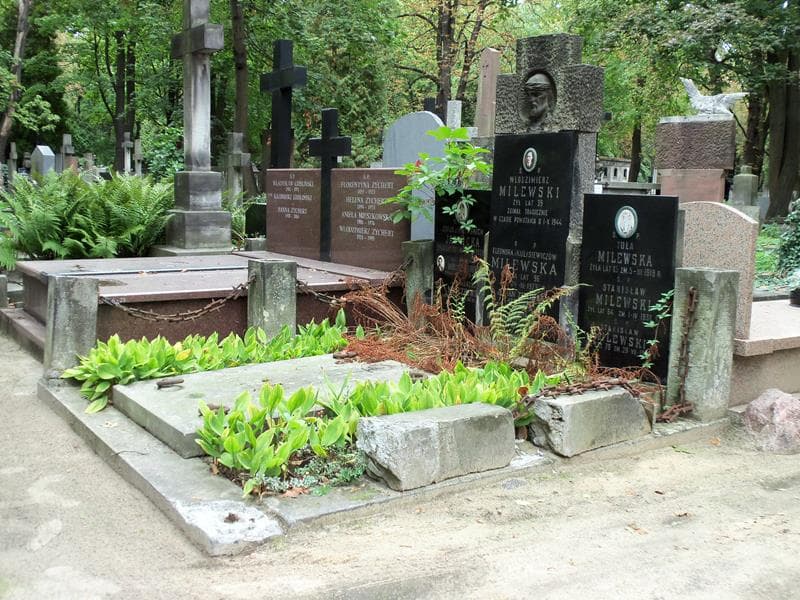 Zdjęcie grobu Zofja Jarnicka (1)