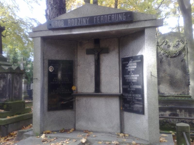 Zdjęcie grobu Krystyna Januszewicz (1)