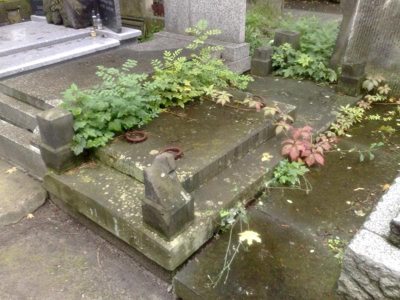 Zdjęcie grobu Rychlińscy (1)