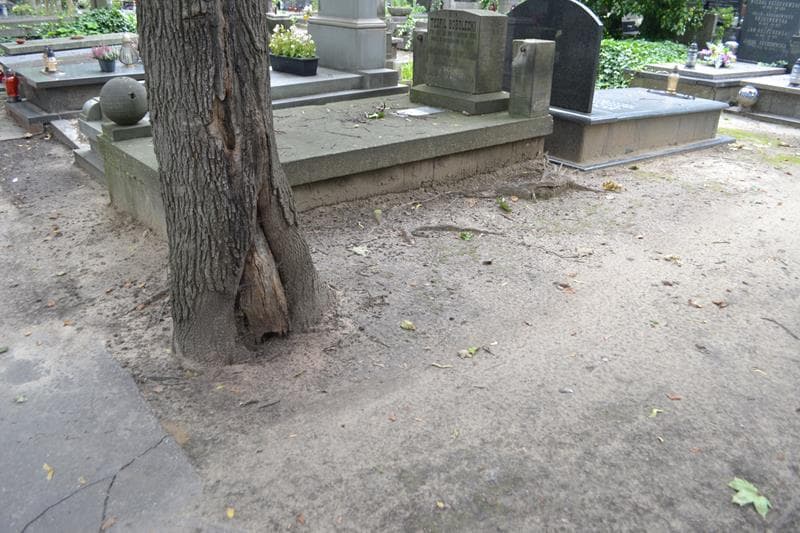 Zdjęcie grobu: Pole Grobowe