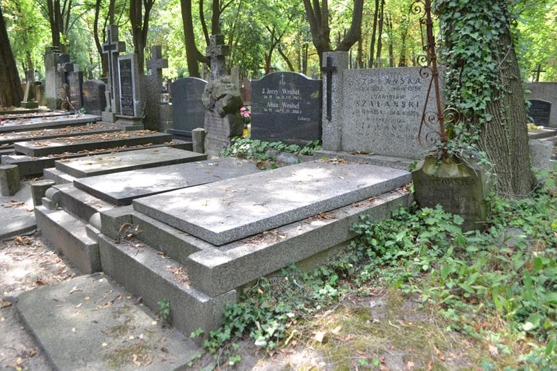 Zdjęcie grobu: Henryka Szałańska