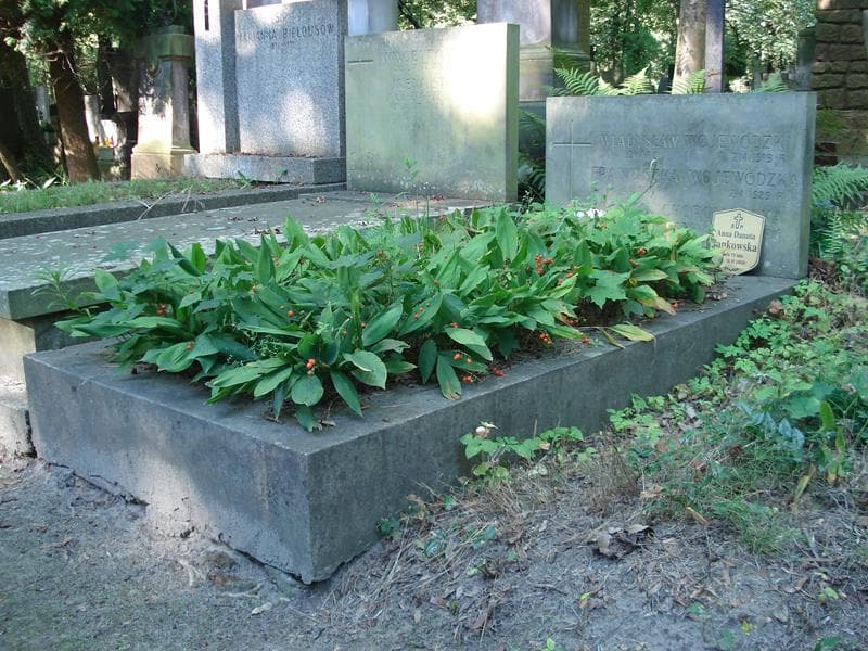 Zdjęcie grobu Maria Choromańska (1)