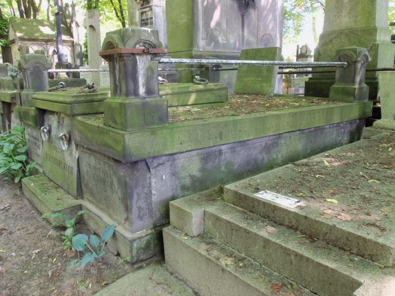Zdjęcie grobu Cecylja Olechowska (2)
