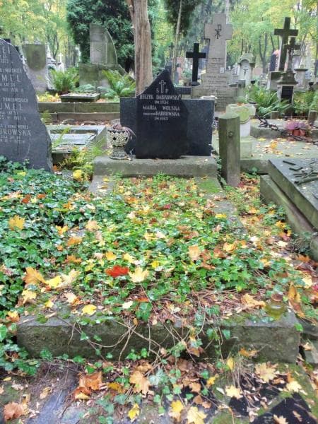 Zdjęcie grobu: Jerzyk Dąbrowski