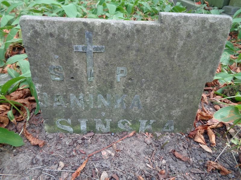 Zdjęcie grobu Janinka .... (1)