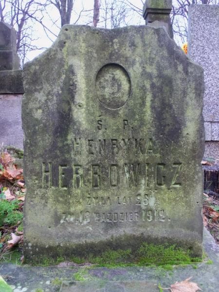 Zdjęcie grobu Henryka Herbowicz (2)