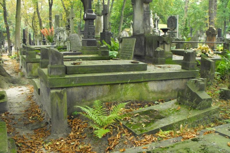 Zdjęcie grobu Olexowie (1)